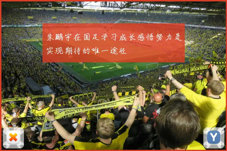 朱鹏宇在国足学习成长感悟努力是实现期待的唯一途径