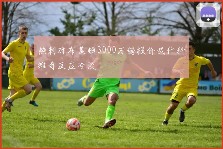 热刺对布莱顿3000万镑报价武什科维奇反应冷淡
