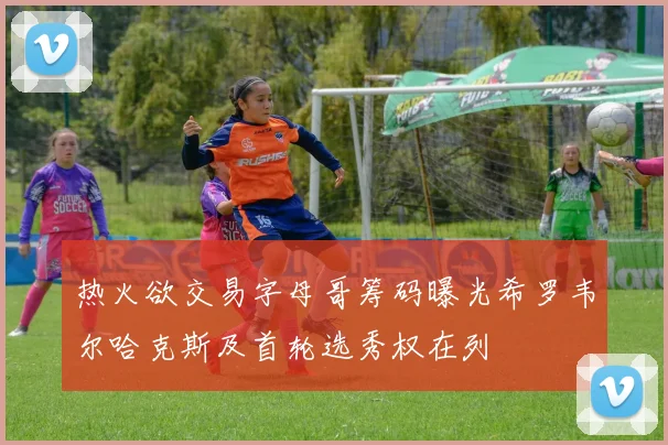 热火欲交易字母哥筹码曝光希罗韦尔哈克斯及首轮选秀权在列
